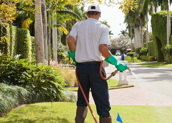 About Sherman NY Pest Control